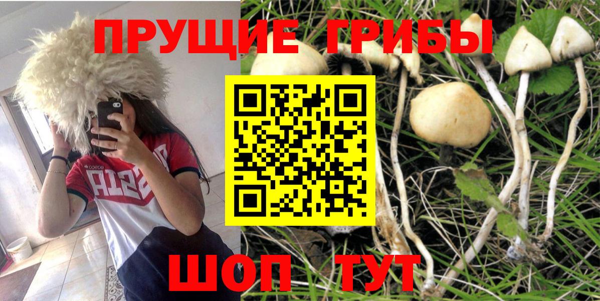 Ставрополь  Псилоцибиновые грибы MAGIC MUSHROOMS  Вход с VPN 