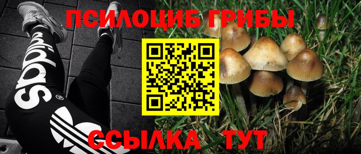 Псилоцибиновые грибы мицелий Ставрополь